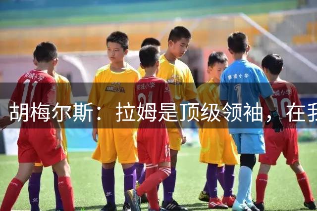 胡梅尔斯：拉姆是顶级领袖，在我不满坐板凳时跟我进行了交流